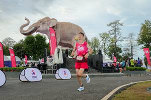 BIB: 
                            <button type="button" onclick="openModal(26528746)" class="btn btn-primary btn-sm float-right btn-popup" data-toggle="modal" data-target=".modal-high-quality">
                        <i class="fas fa-shopping-cart"></i> Add to Cart
                    </button>
                                            <button type="button" onclick="isThisMe(26528746, true)" class="btn btn-success btn-sm float-right btn-popup btn-isme hidden" data-toggle="tooltip" data-placement="bottom" title="นี่คือรูปของคุณใช่ไหม คลิกที่นี่เพื่อเอาเข้าอัลบั้ม">
                        <i class="fas fa-plus"></i> Add to album
                    </button>
                    <button type="button" onclick="isThisMe(26528746, false)" class="btn btn-warning btn-sm float-right btn-popup btn-isnotme hidden">
                        <i class="fas fa-ban"></i> Remove from album
                    </button>